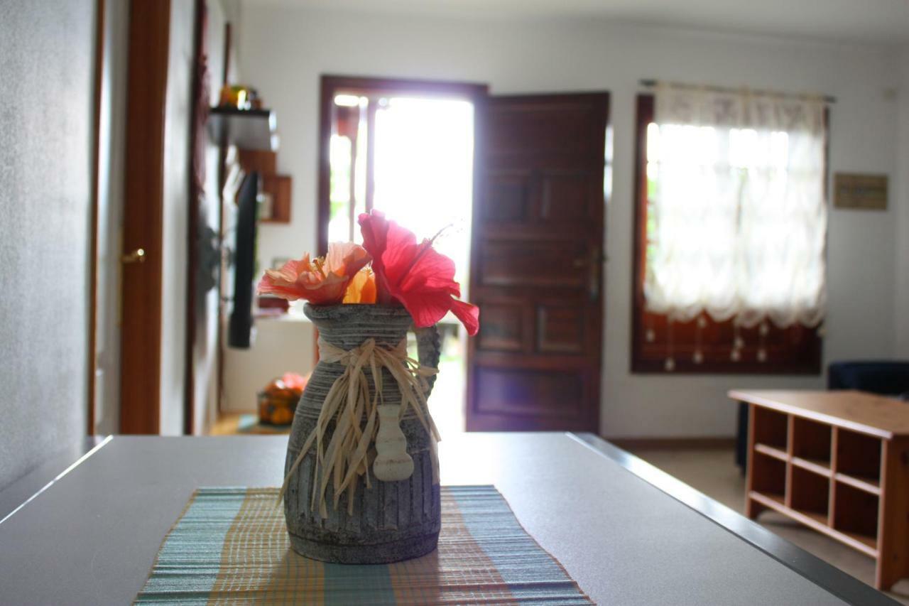 Apartamentos Con Jardin Y Pescina 拉克鲁斯 外观 照片